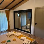Mirena 2 *